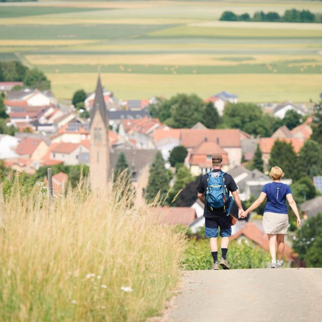 🥾 Eure Anfragen verraten: Gedanklich seid ihr schon "on the road" und plant den Frühsommer. Auf unseren "Weingarten" könnt ihr natürlich zählen: Ab dem 1. Mai servieren wir Euch wieder kleine Snacks, wechselnde Gerichte, Erfrischungen und passende Weine - immer sonn- und feiertags ab 13 Uhr.
Alle Termine für 2023 und weitere Infos findet ihr hier: https://gebert.wine/weingarten
---
🇬🇧 Your requests reveal: Mentally you are already "on the road" and planning the early summer. Of course you can count on our "Weingarten": From May 1, we will again serve you small snacks, changing dishes, refreshments and matching wines in our garden - always on Sundays and holidays from 1 pm.
All dates for 2023 and further information can be found here: https://gebert.wine/en/weingarten/

#meetthewinery #meetthewinery23 #weinwandern #weingut #weinberge #winetime #weingarten #winehike #weinprobe #winesofgermany @meine_auslese